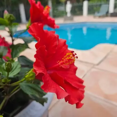 Les jardins du Patriarche Hôtel
