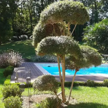 La Lilas des Fargues Maison d&rsquo;Hôtes