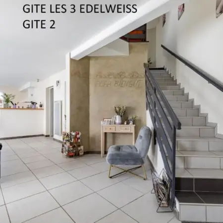 Les 3 Edelweiss – GITE 1 OU GITE 2 -maxi 10 personnes par gite-