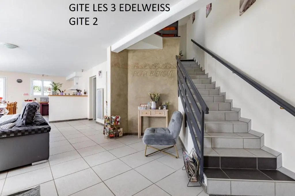 Les 3 Edelweiss – GITE 1 OU GITE 2 -maxi 10 personnes par gite-