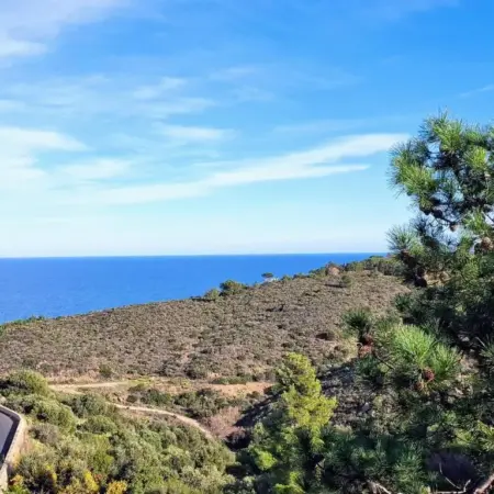Appartement à Banyuls-sur-Mer avec Vue sur Mer et Parking – FR-1-309-6