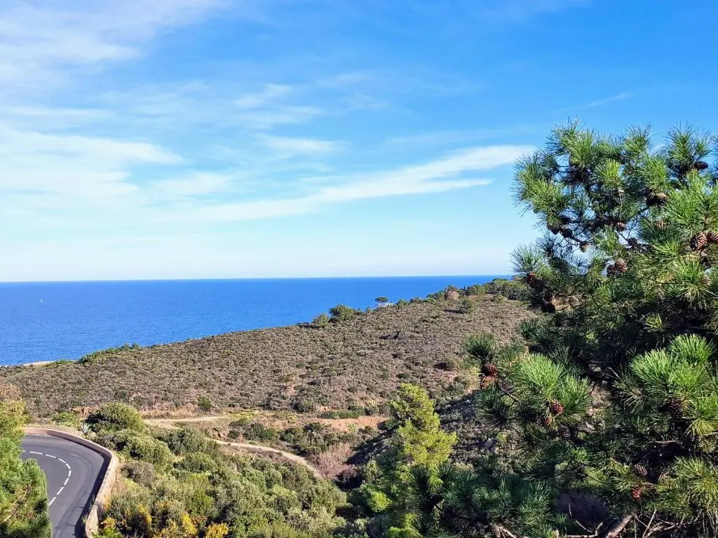 Appartement à Banyuls-sur-Mer avec Vue sur Mer et Parking – FR-1-309-6
