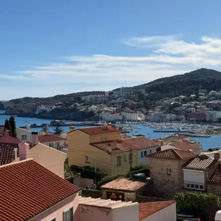 BANYULS-SUR-MER T2 avec vue mer, ascenseur et parking privatif – FR-1-309-102