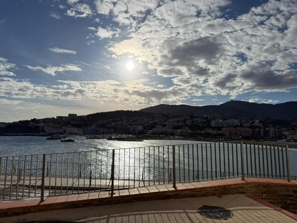 F3 en centre-ville de Banyuls avec terrasse – FR-1-309-58