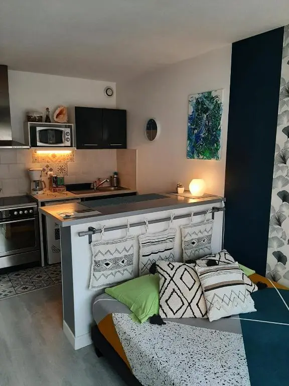 Appartement T1 Hyper Centre avec Balcon