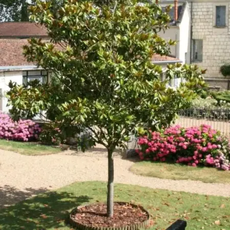 Château de Bournand B&B