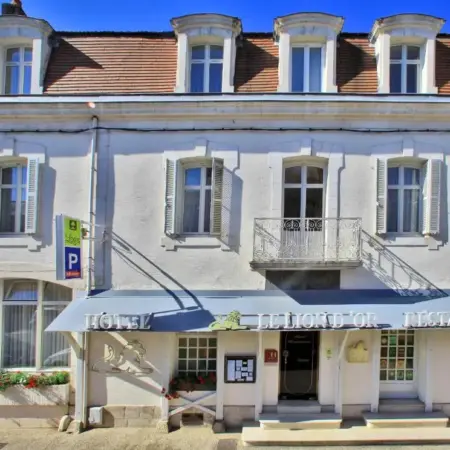 Logis Hôtel Le Lion d&rsquo;Or