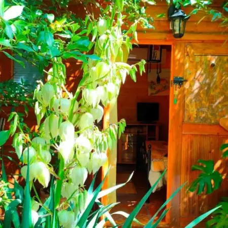 Le Portel des Arnaud Chambres d’Hôtes