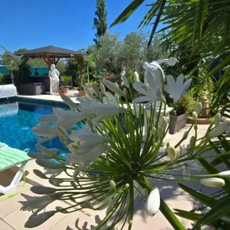 L’Hermine Occitane B&B
