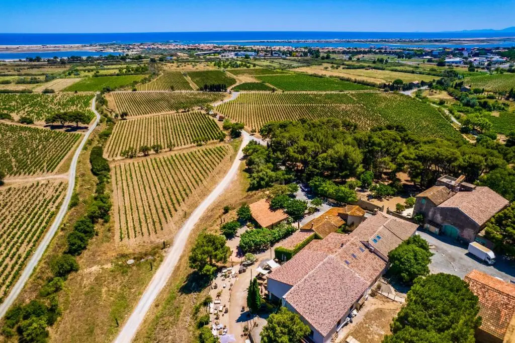 Château le Bouïs