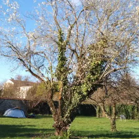 Fontaineblhostel hostel & camping near Fontainebleau