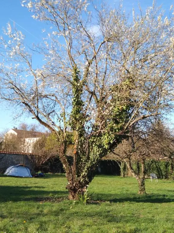 Fontaineblhostel hostel & camping near Fontainebleau
