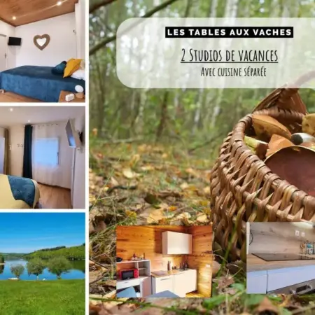 Appartement confort 34m2 – Parc et plage privés – Lac à 5 min à pied