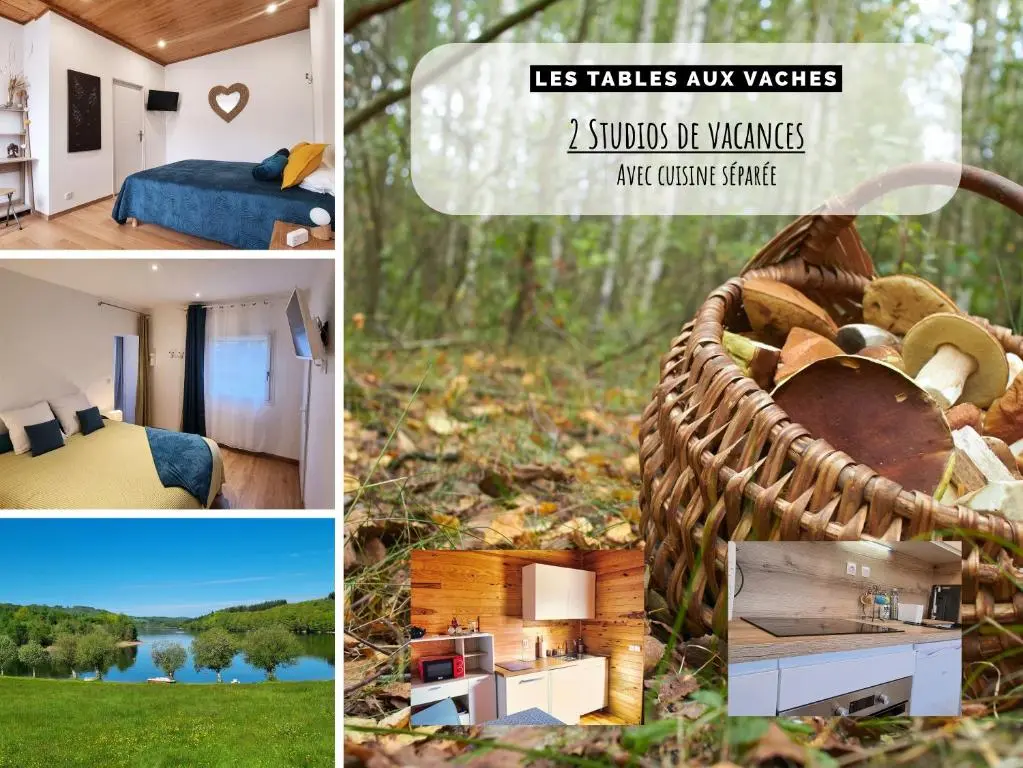 Appartement confort 34m2 – Parc et plage privés – Lac à 5 min à pied