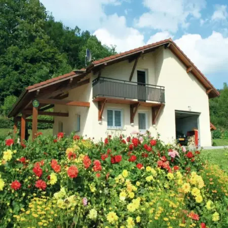 Holiday Home in Vosges with Garden and BBQ