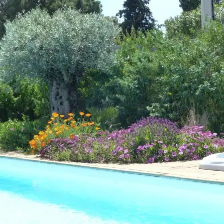 Gîte Les Lauriers Roses