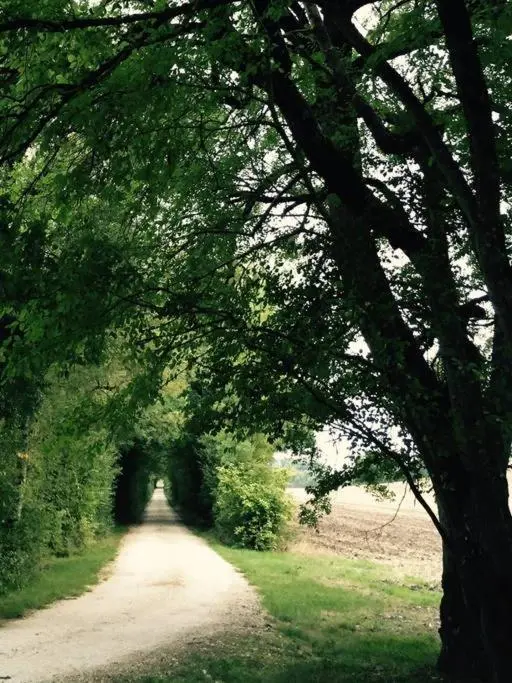 Domaine Le Rolant