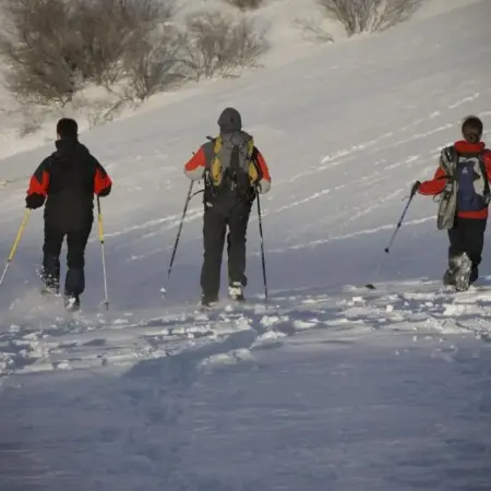 Chalets et gîtes d’Orlu