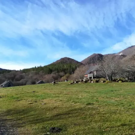 Les chalets de la forêt d&rsquo;Issaux