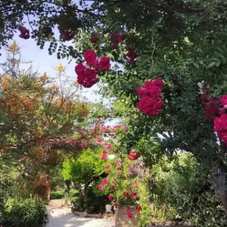 Maison d&rsquo;hôtes Coeur d&rsquo;Hérault – Gîte et Chambres d&rsquo;hôtes – SPA & Massages