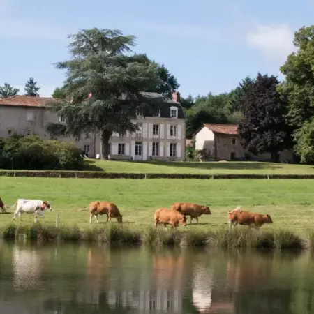 Le Masbareau, Chambre et Table d&rsquo;Hôtes de Charme, B&B