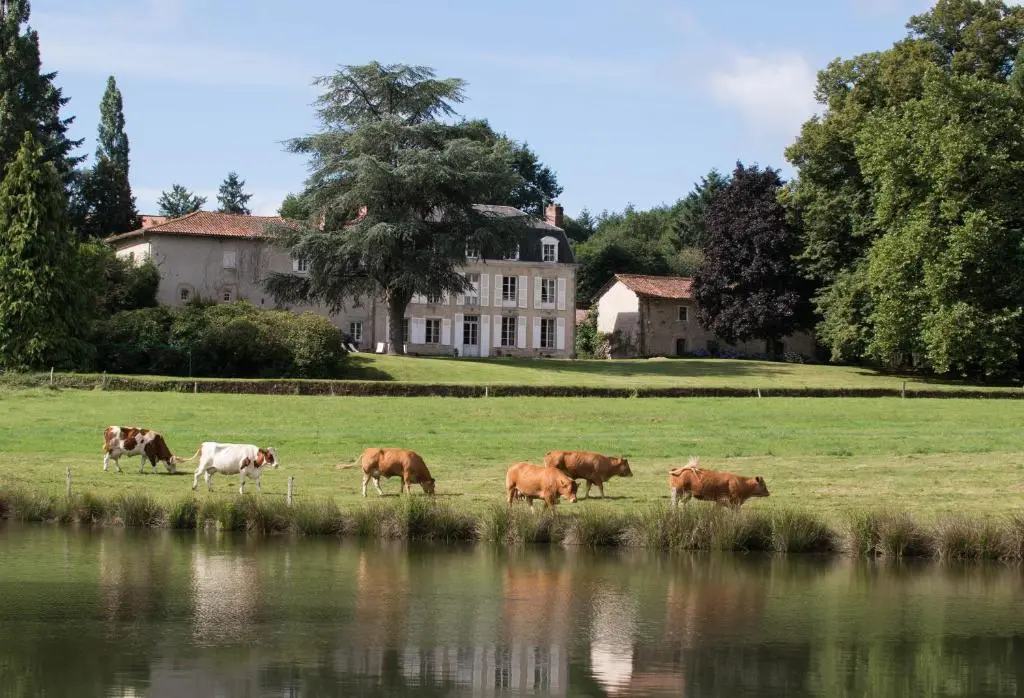 Le Masbareau, Chambre et Table d’Hôtes de Charme, B&B