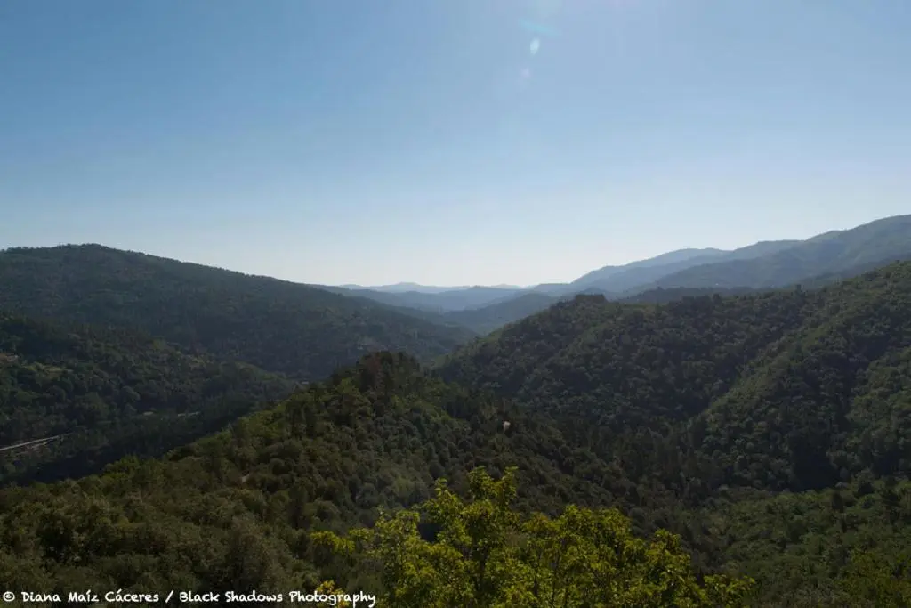 La vallée de Gaïa