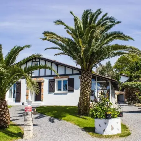 Villa Yoda