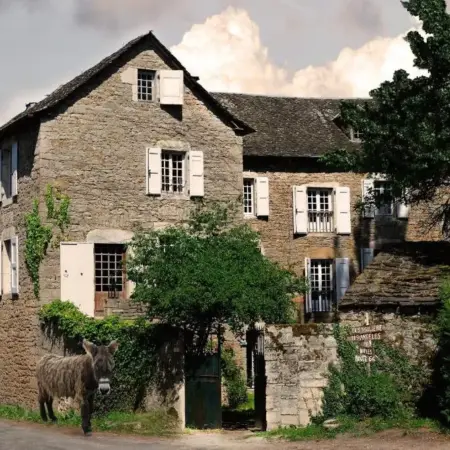 Maison d’Hôtes La Singulière