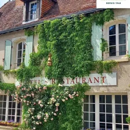 Logis Hôtel Restaurant Relais de la Mothe